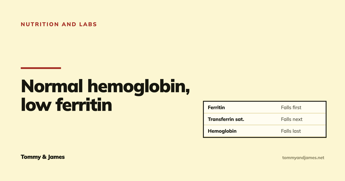 Cover card with a small table showing ferritin falling first, transferrin saturation next and hemoglobin last