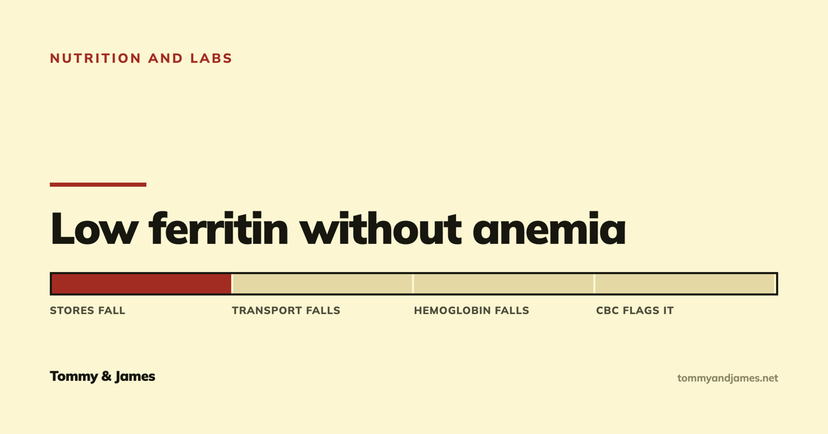 Cover card with a four-stage bar showing iron depletion, only the first stage filled: stores fall, transport falls, hemoglobin falls, then a blood count finally flags it